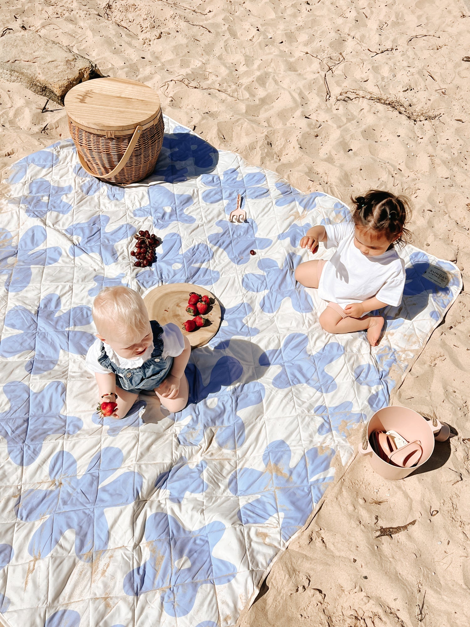 Picnic Rugs